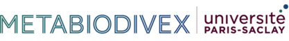Metabiodivex Metabiodivex